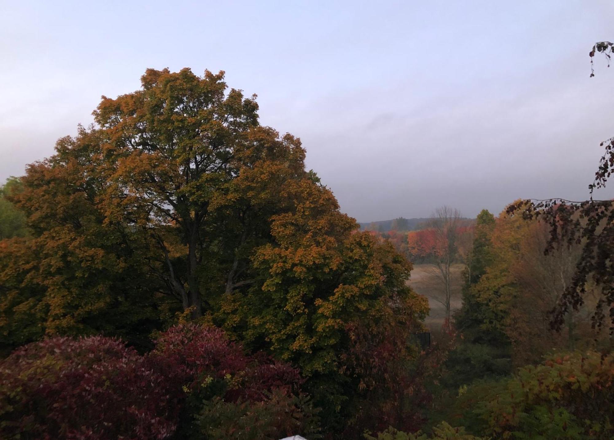Caledon Manor And Country Inn Buitenkant foto
