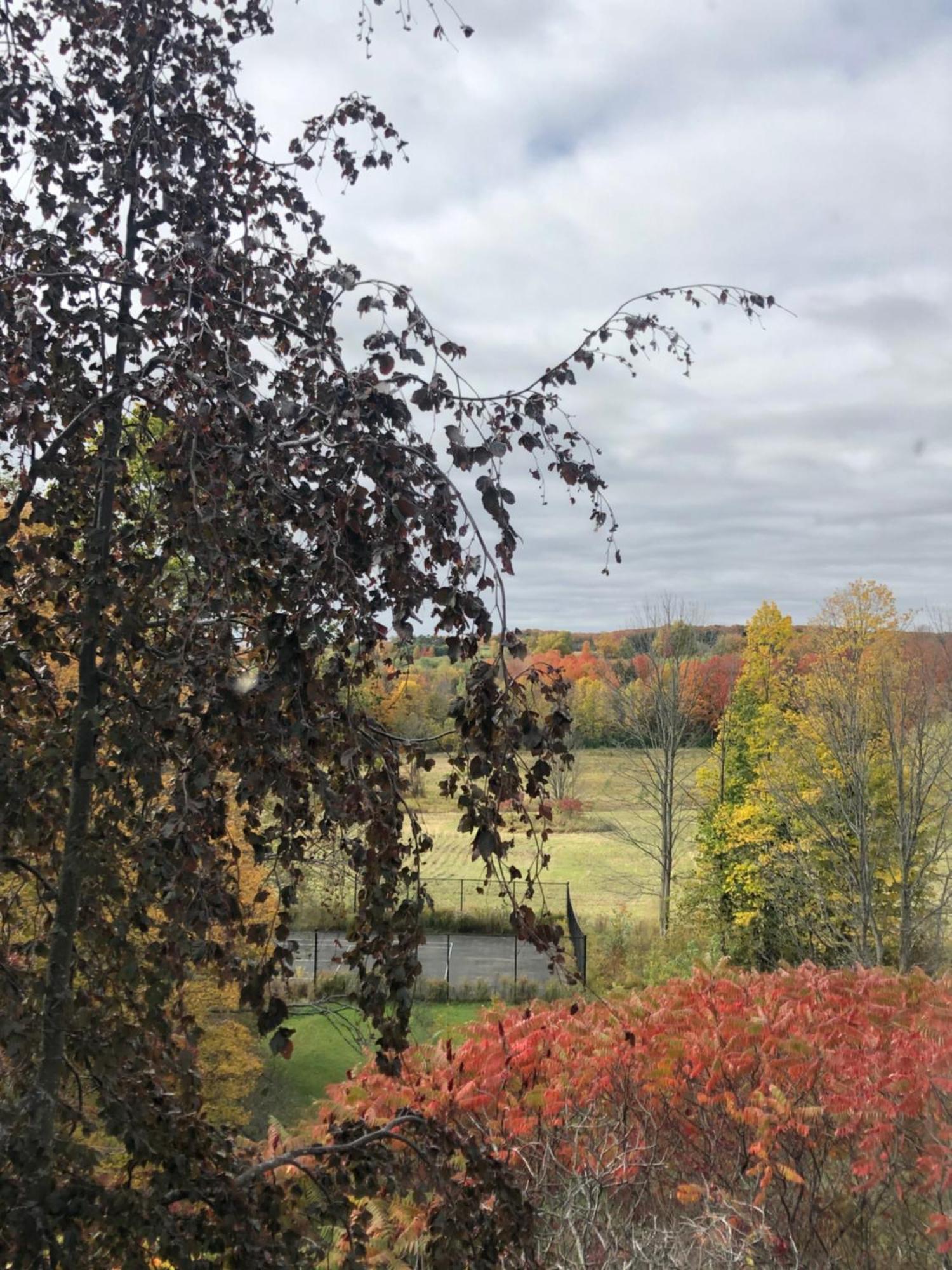 Caledon Manor And Country Inn Buitenkant foto